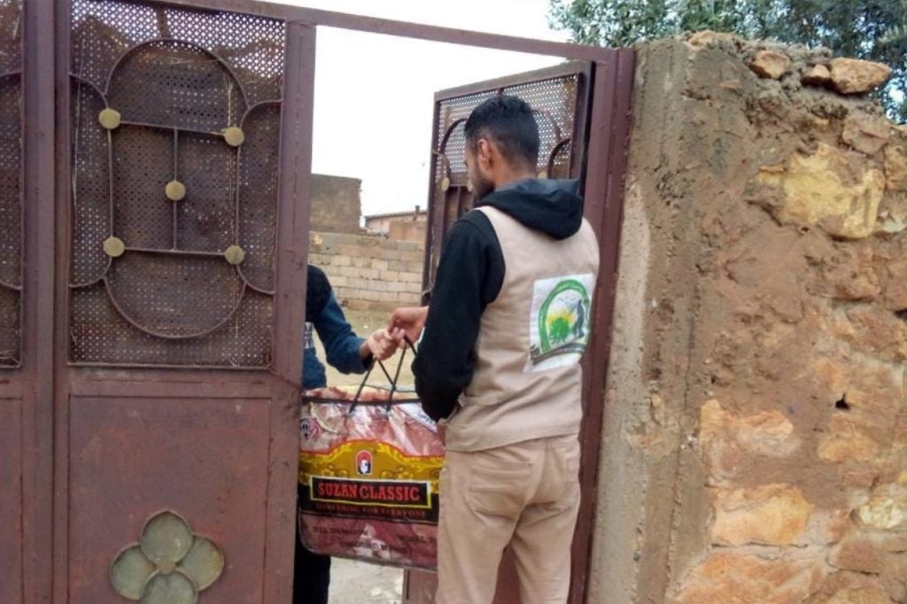 green leafed trees during fog time 167684
